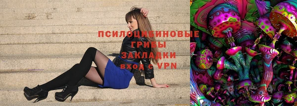 spice Белокуриха